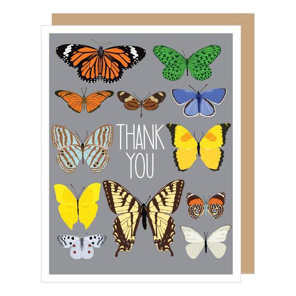 Apartment 2 Cards - Colorful Butterflies Thank You Card (single or boxed)