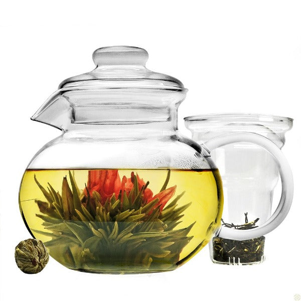 Handblown Glass Teapot for Blooming Teas - Teaware - Red Stick Spice Company