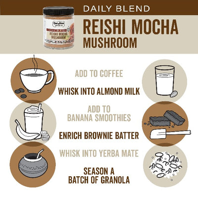 Mocha Mushroom Daily Blend