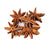 Star Anise- Whole - Spices - Red Stick Spice Company