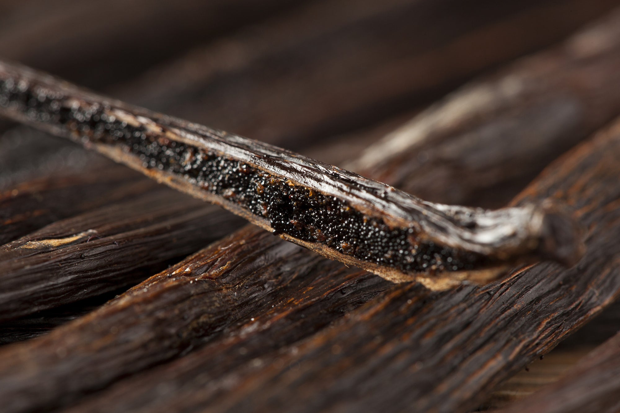 Madagascar Vanilla Beans - Premiere_Spices - Red Stick Spice Company