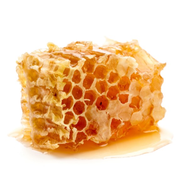 Baton Rouge Bee Co. Honeycomb