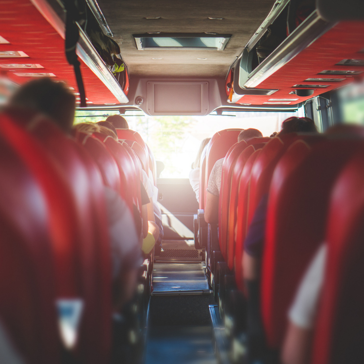 Tour & Travel Planners